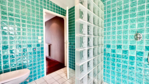 Évian-les-Bains: Panoramic Lake View Penthouse with 170m² Living Space & 2 Garages